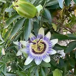 Casa En 5 Y 2 Plantas