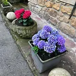 Casa En 5 Y 2 Plantas 트레세노