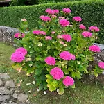 Casa En 5 Y 2 Plantas *