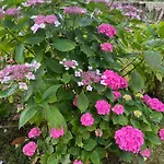 Holiday home Casa En 5 Y 2 Plantas *
