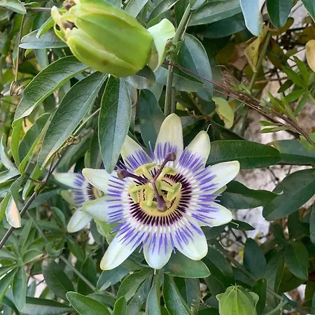 Casa En 5 Y 2 Plantas