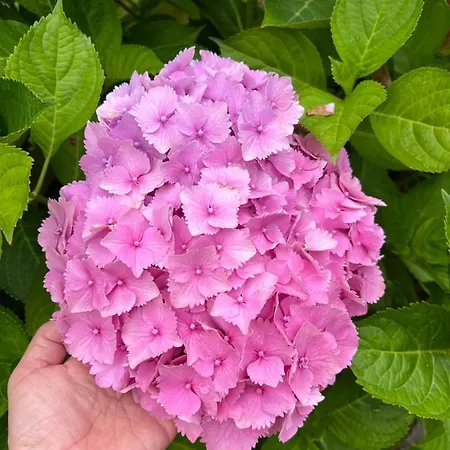 Дом отдыха Casa En 5 Y 2 Plantas *