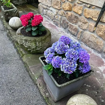 Casa En 5 Y 2 Plantas Treceño