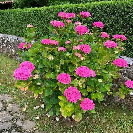 Casa En 5 Y 2 Plantas *