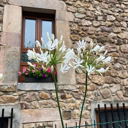 Nyaraló Casa En 5 Y 2 Plantas *