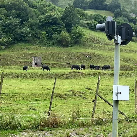 Casa En 5 Y 2 Plantas * Тресеньо
