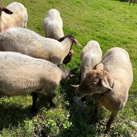 Casa En 5 Y 2 Plantas *