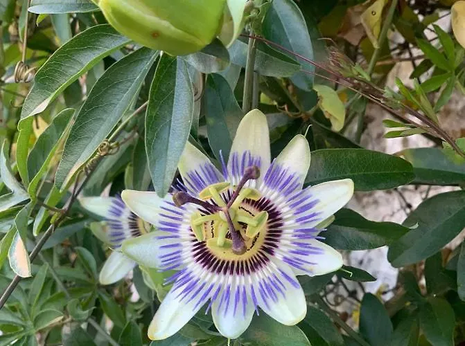 Casa En 5 Y 2 Plantas