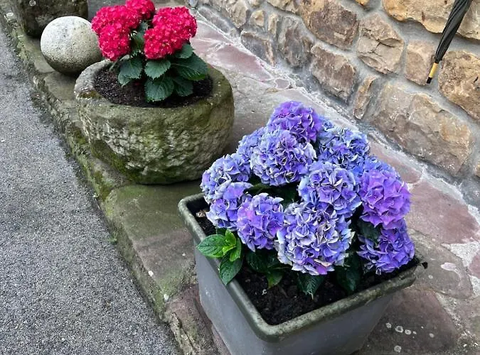 Casa En 5 Y 2 Plantas Treceno