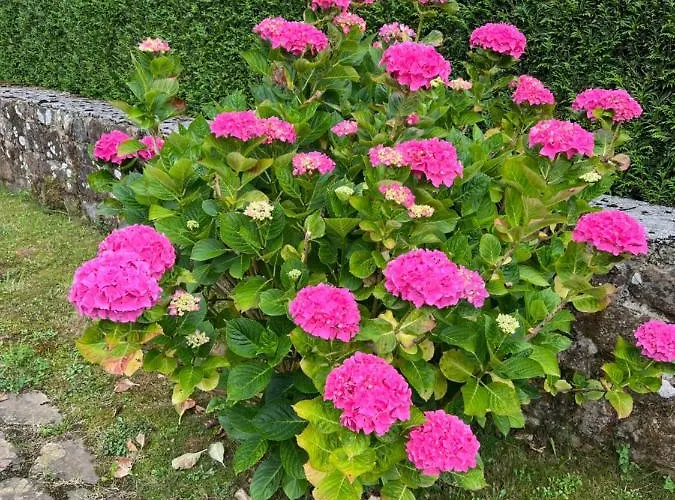 Casa En 5 Y 2 Plantas *