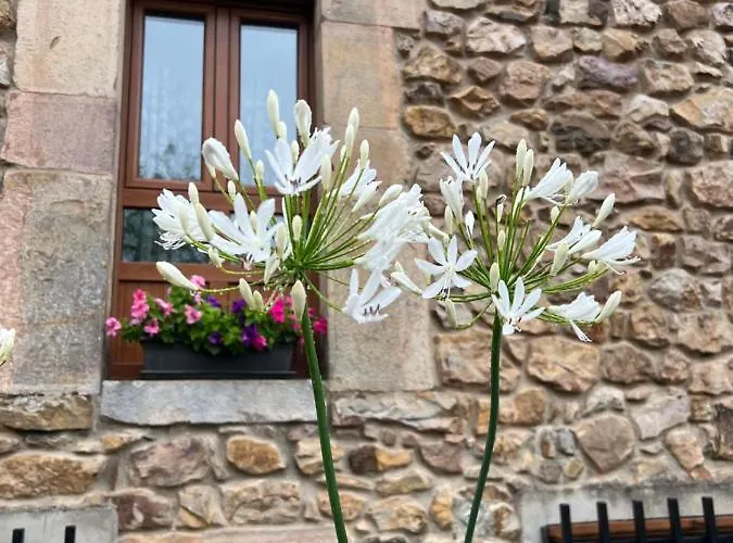 Дом отдыха Casa En 5 Y 2 Plantas *