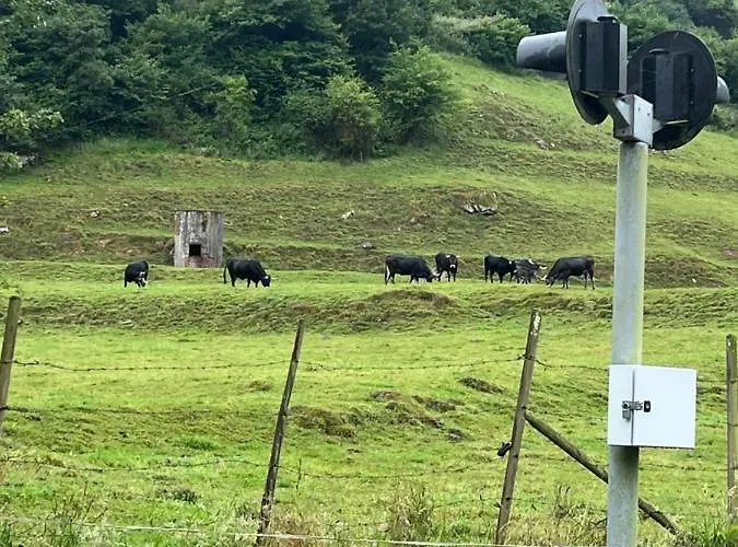 Casa En 5 Y 2 Plantas * Тресеньо