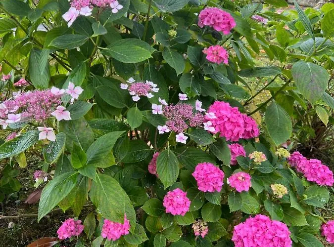 Holiday home Casa En 5 Y 2 Plantas *