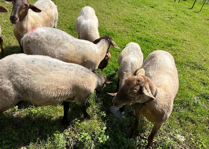 Casa En 5 Y 2 Plantas *